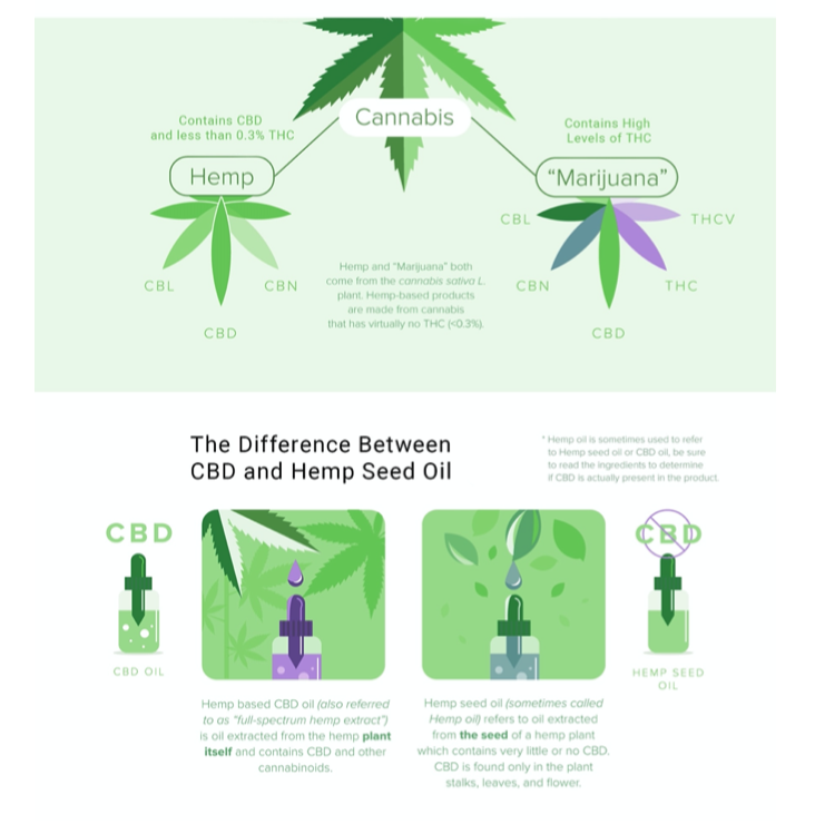 The difference between marijuana and hemp